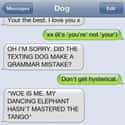 Not Even Texting Dog Is Spared From Grammar Perfectionist's Wrath on Random Hilarious Texts From The Grammar Police