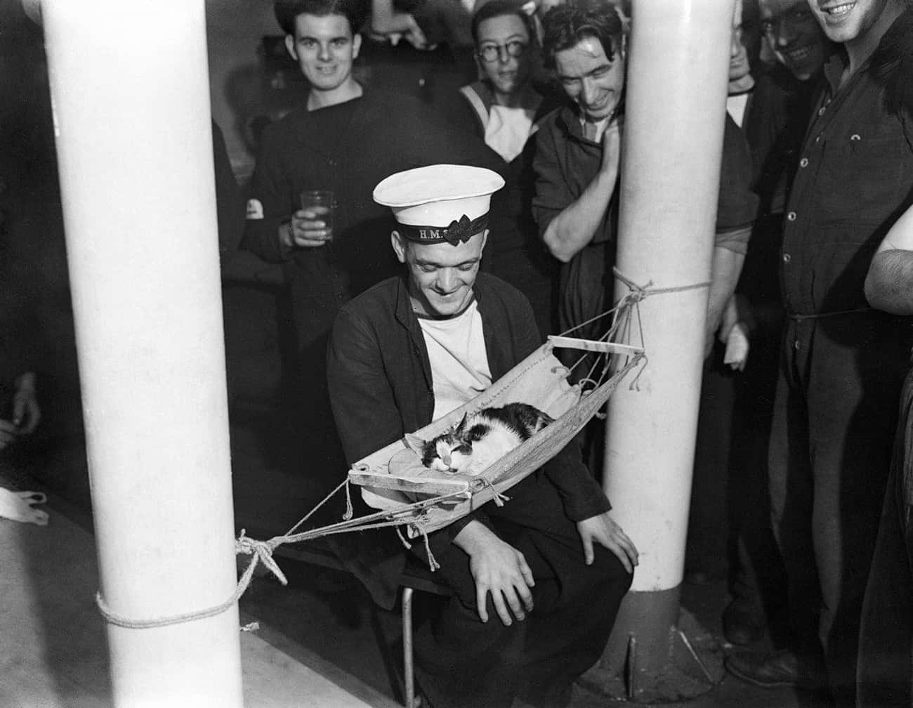 A Cat Takes A Nap On A Royal Navy Ship, 1941