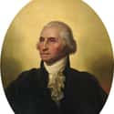 He Had Smallpox Scars on Random Things You Didn't Know About George Washington