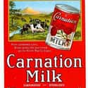 Nestle's Carnation on Random Most Nostalgia-Inducing Thanksgiving Brands