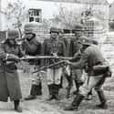 German Soldiers Fake Fight, World War II on Random Vintage Photos of Off-Duty Soldiers
