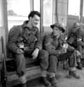 Canadian Soldiers Have a Beer, World War II on Random Vintage Photos of Off-Duty Soldiers