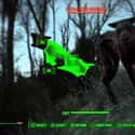 Wild Dogs Are Faster Than You on Random Reasons Why 'Fallout 4' Hates You