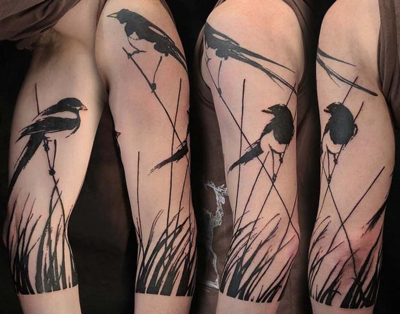 These Cute Little Birdies in Tall Grass