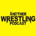 Another Wrestling Podcast on Random Best Wrestling Podcasts