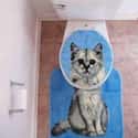 Now You'll Never Be Alone on Random Hilarious Toilet Seat Covers To Trick Your Houseguests