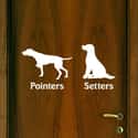 These Clever Signs for Pet Shops or Dog Groomers on Random Bathroom Signs That Will Really Make You Think