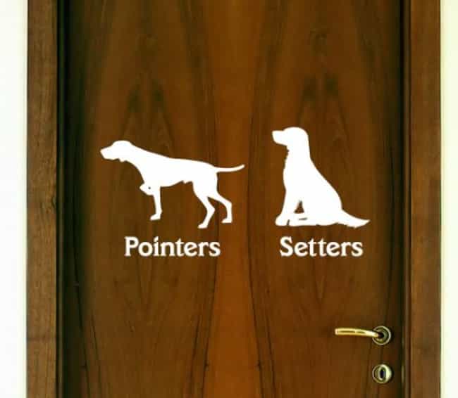 These Clever Signs for Pet Shops or Dog Groomers