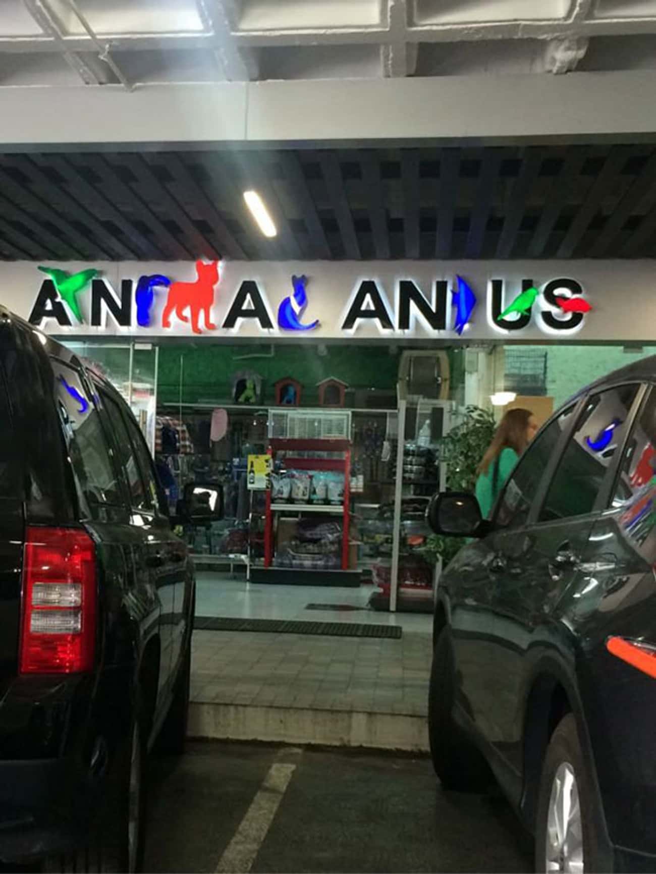 This Storefront