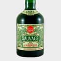 Absinthe Sauvage 1804 on Random Best Absinthe Brands