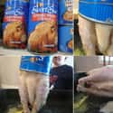 Chicken in a Can: Just to Prove We Can! on Random Grossest Snack FAILs in History