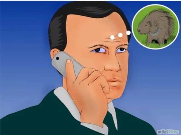 Wtf Wikihow Pictures Weird Wiki Illustrations