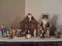 'But What If The Angel Needs Back-up?' on Random Cats Crashing Nativity Scenes