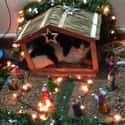 'Sorry, Folks. Visiting Hours Are Over.' on Random Cats Crashing Nativity Scenes