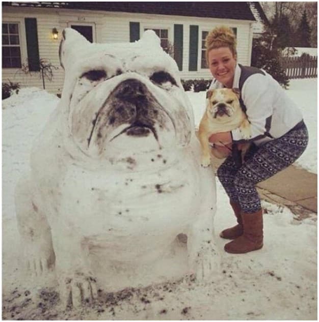 A Shameless Impostor