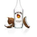 Malibu on Random Best Rum Brands