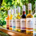 Kōloa on Random Best Rum Brands