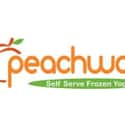 Peachwave on Random Best Ice Cream & Frozen Yogurt Chains
