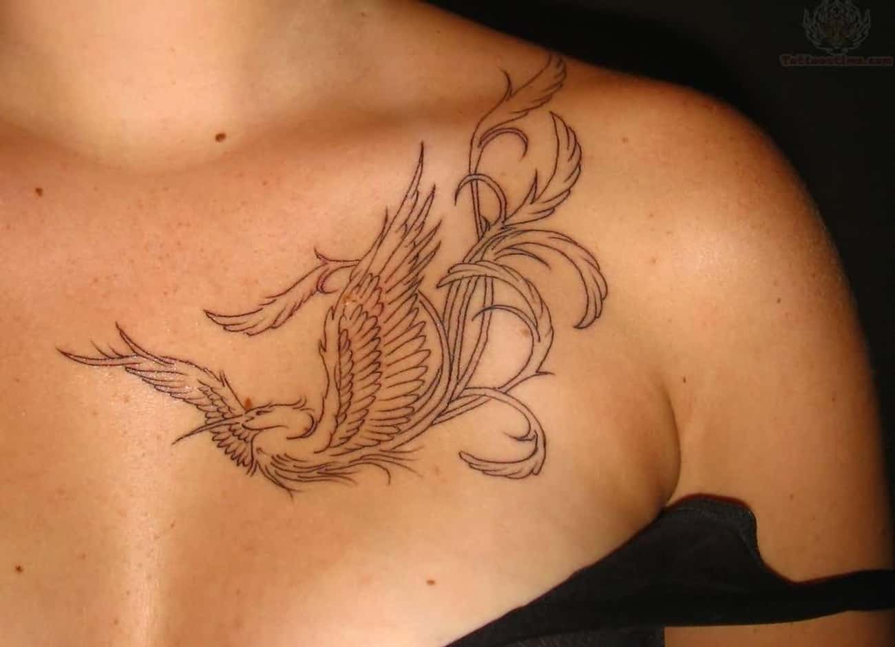 Heron Collar Bone Tattoo
