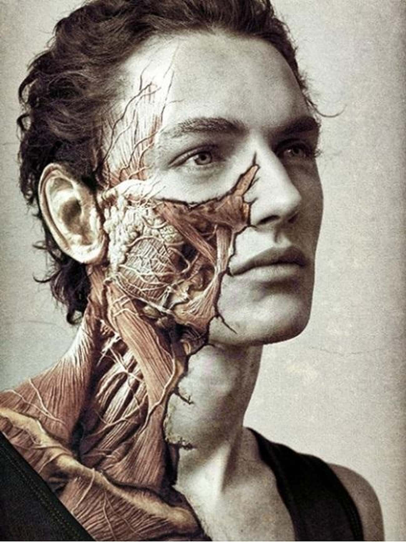 Anatomical Face Tattoo