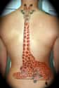 Giraffe Spine Tattoo on Random Ideas to Get a Tattoo Right Up Your Spine
