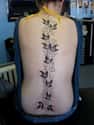 Ivy Spine Tattoo on Random Ideas to Get a Tattoo Right Up Your Spine