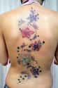Flowers Spine Tattoo on Random Ideas to Get a Tattoo Right Up Your Spine