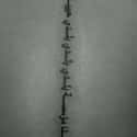 Script Spine Tattoo on Random Ideas to Get a Tattoo Right Up Your Spine
