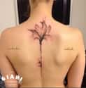 Lily Spine Tattoo on Random Ideas to Get a Tattoo Right Up Your Spine