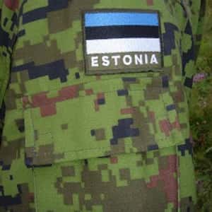 Estonian Digital Pattern
