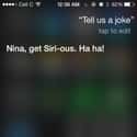 Thanks, Folks, She'll Be Here All Night! on Random Siri Gave Hilarious Answers to Your Questions