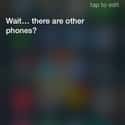 It's All Down Hill From Here on Random Siri Gave Hilarious Answers to Your Questions