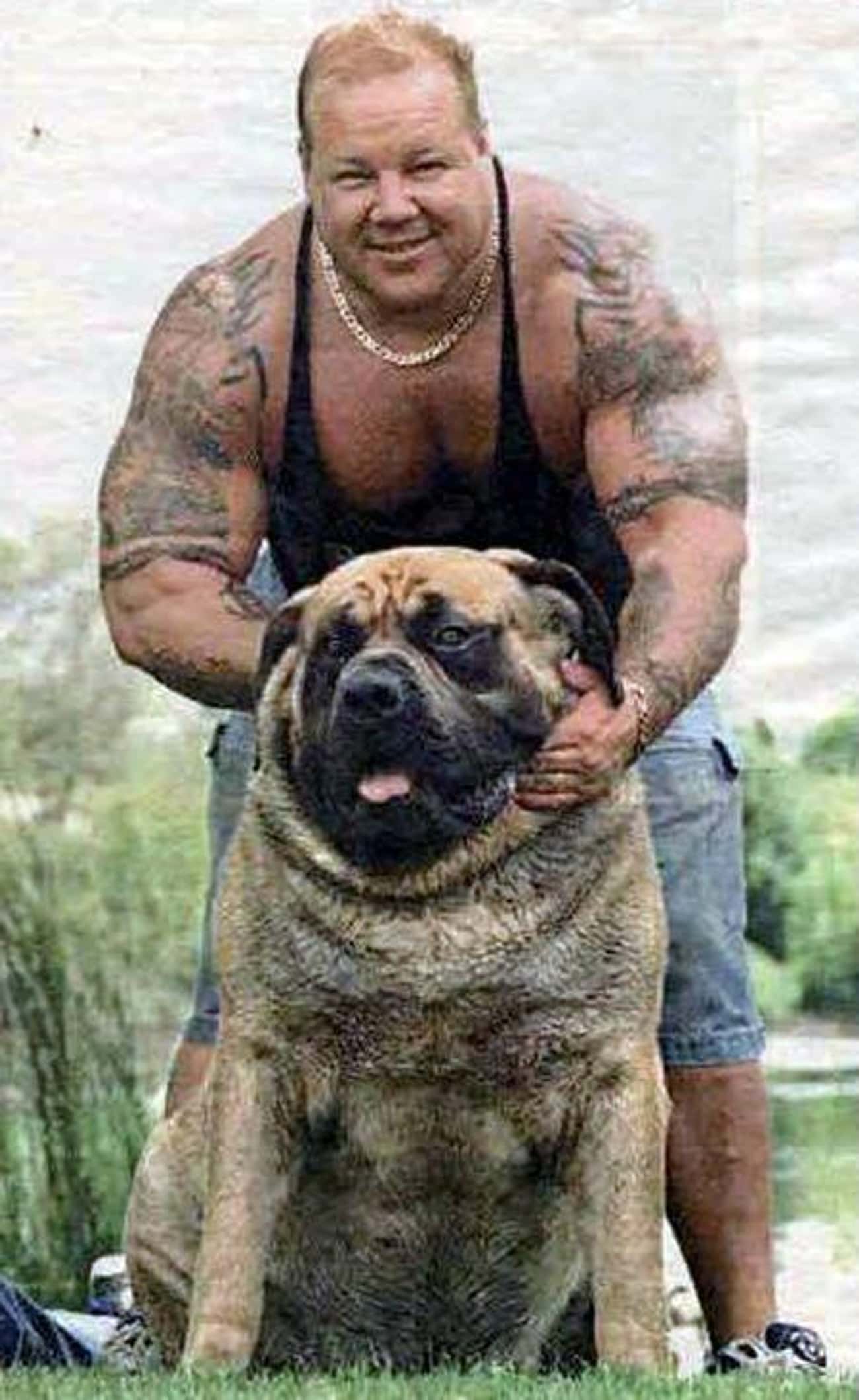 This Big Guy And His Bulky Buddy