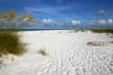 Anna Maria Island on Random Best Beaches in Florida