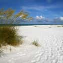 Anna Maria Island on Random Best Beaches in Florida