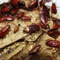 Cochroaches on Random Scariest Horror Movie Animals