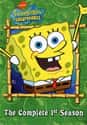 SpongeBob SquarePants - Season 1 on Random Best Seasons of 'SpongeBob SquarePants'