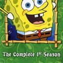 SpongeBob SquarePants - Season 1 on Random Best Seasons of 'SpongeBob SquarePants'
