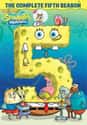 SpongeBob SquarePants - Season 5 on Random Best Seasons of 'SpongeBob SquarePants'