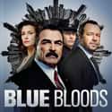 Blue Bloods - Season 4 on Random Best Seasons of 'Blue Bloods'