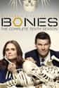 Bones - Season 10 on Random Best Seasons of 'Bones'