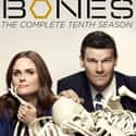 Bones - Season 10 on Random Best Seasons of 'Bones'