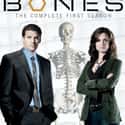 Bones - Season 1 on Random Best Seasons of 'Bones'