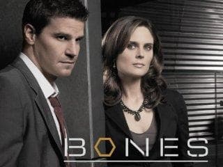 Ranking All 12 Seasons of Bones Best to Worst