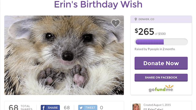 Dumb Crowdsourcing Worst Gofundme Campaigns Ever