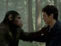 A Highly-Intelligent Ape Friend? Sure, Why Not? on Random Plot Holes That Will Ruin Your Favorite Sci-Fi Movies
