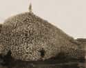 A Mountain of Bison Skulls from 1870 on Random Amazing Historical Snapshots You Were Never Shown In Class