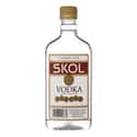 Skol on Random Best Cheap Vodka Brands