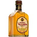 Puerto Vallarta on Random Best Cheap Tequila