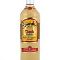 Agavales on Random Best Cheap Tequila